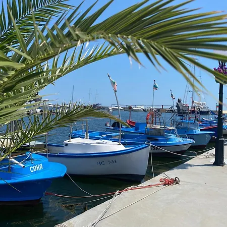 Apartment Fregata 16 *