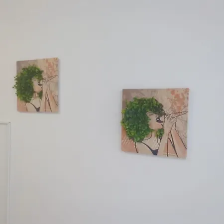 Fregata 16 * سفيتي فلاس